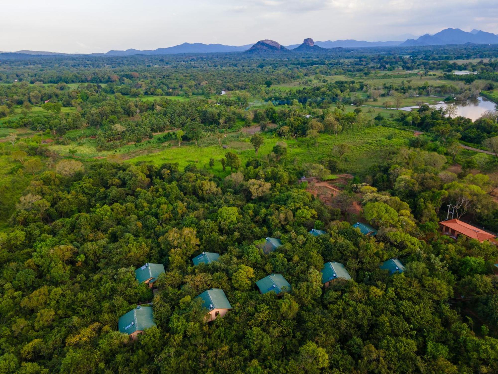Sigiriya Forest Edge By Marino Leisure Exterior photo